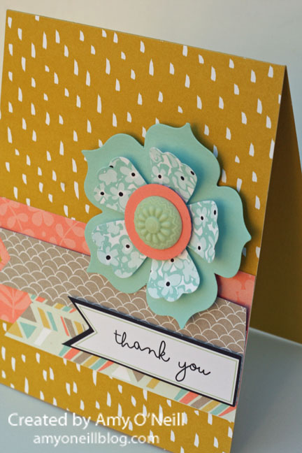 Sweet Sorbet Fun Flower Close Up