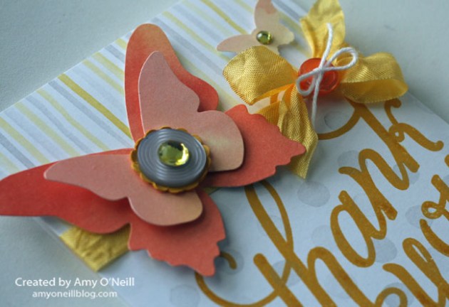 Butterfly Farewell Thanks Close Up