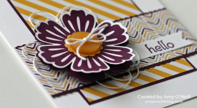 Mixed Bunch of Moonlight Close UP