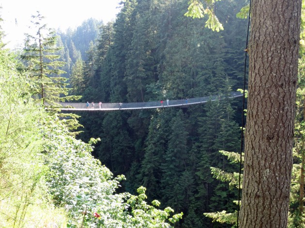 Capilani Suspension Bridge
