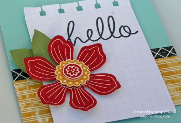 Hello Bloom Close Up