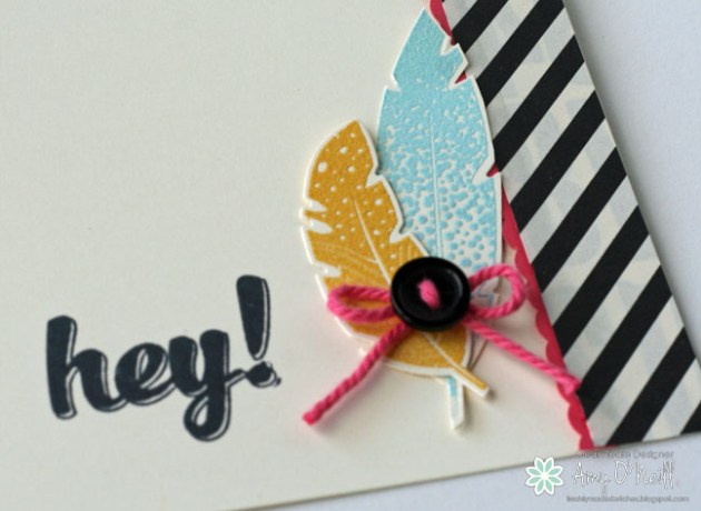 Hey Feathers Close Up