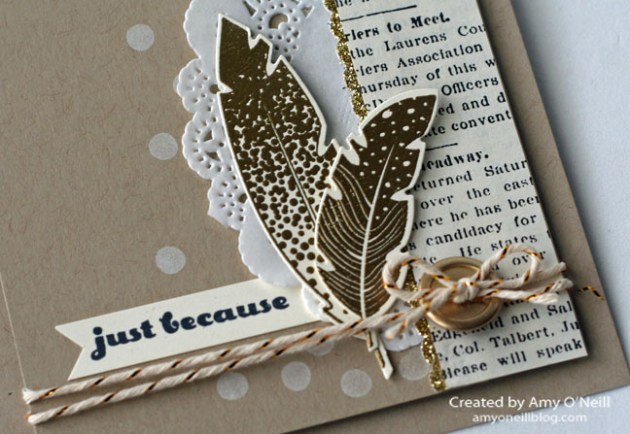 neutral feathers close up