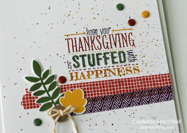 Stuffed Thanksgiving Close up