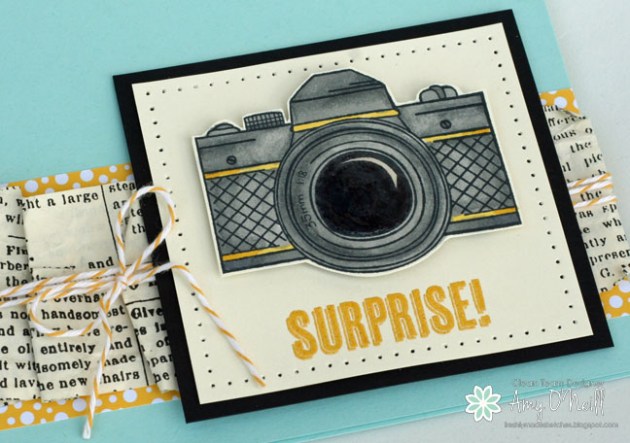 Surprise Snapshot Close Up