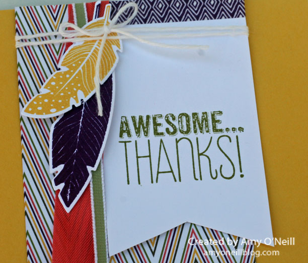 Awesome Feathered Thanks Close Up