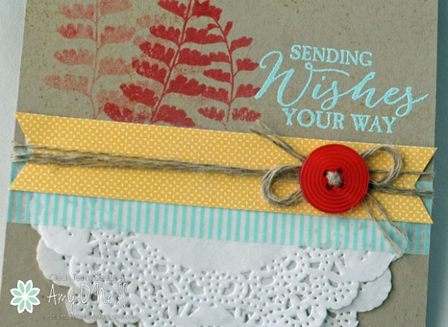 Fern Wishes Close Up