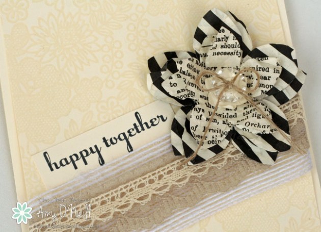 Lacy Happy Together Close Up