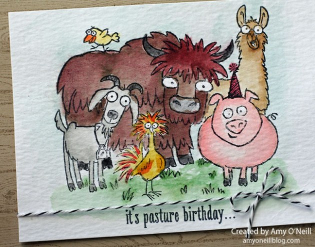 Pasture Birthday Close Up