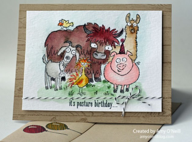 Pasture Birthday