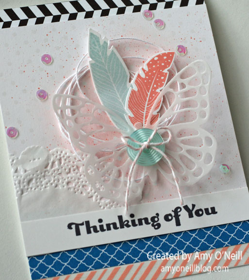 Butterfly and Feathers Close Up