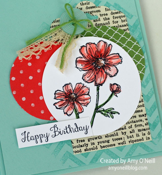 Coral Blooms Close Up