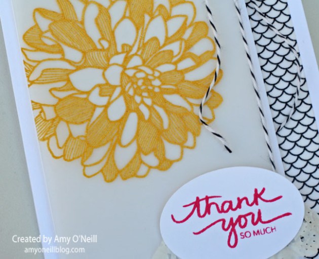 Vellum Dahlia Close Up