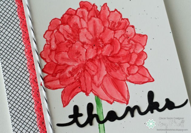 Best New Thoughts Close Up