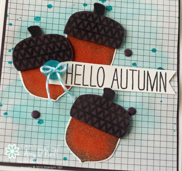 Fall Acorns Close Up