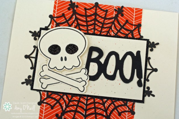 Skull and Cross Bones Close Up