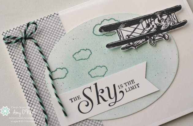 The Sky is the Limit Close Up