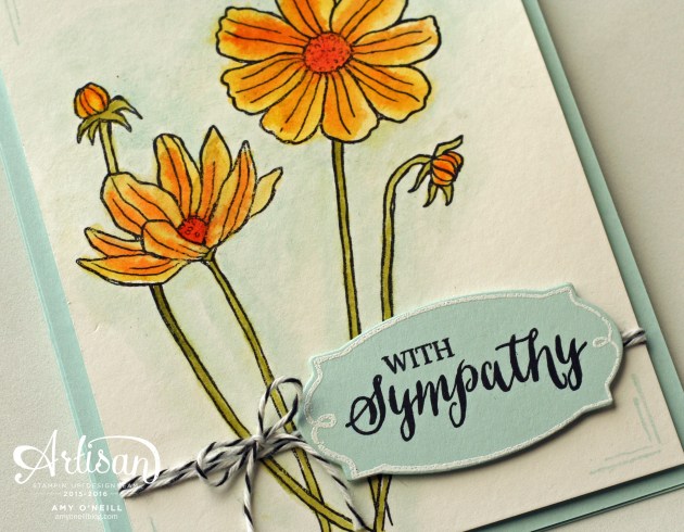 Helping Me Grow with Sympathy Close Up