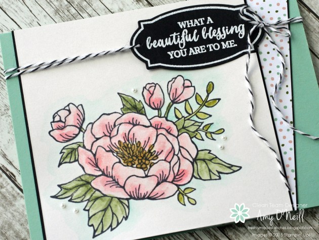 Birthday Bloom Blessing Close Up