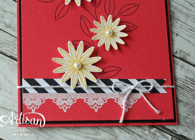 Grateful for Watermelon Wonder