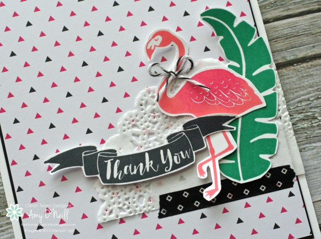 Flamingo Paradise Close Up