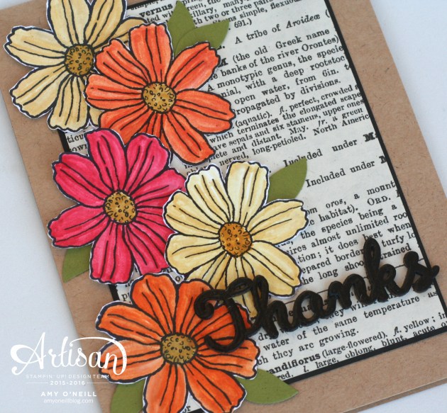 Growing Thanks Close Up