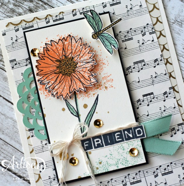 Textured Friend Close Up