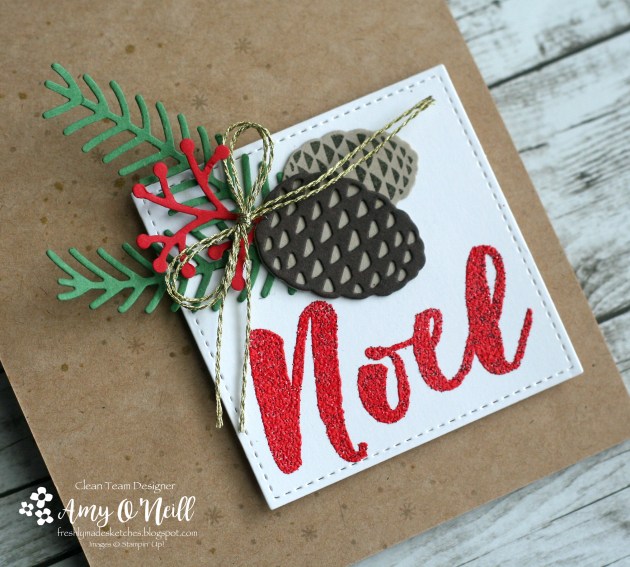 noel-pinecones-close-up