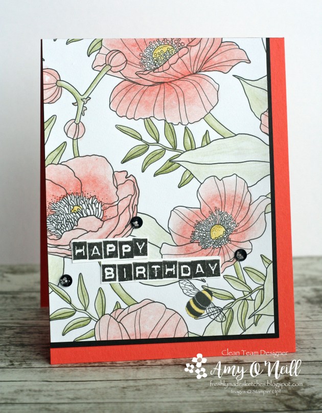 color-therapy-birthday