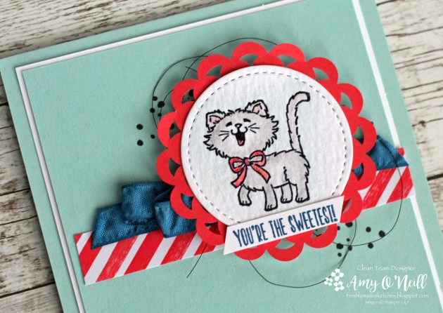 sweetest-kitty-close-up